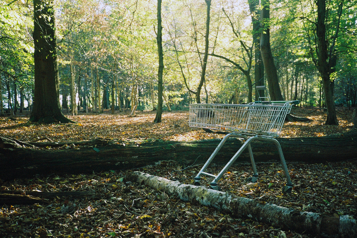 A shopping cart in a jungle, is your home decore environment friendly?